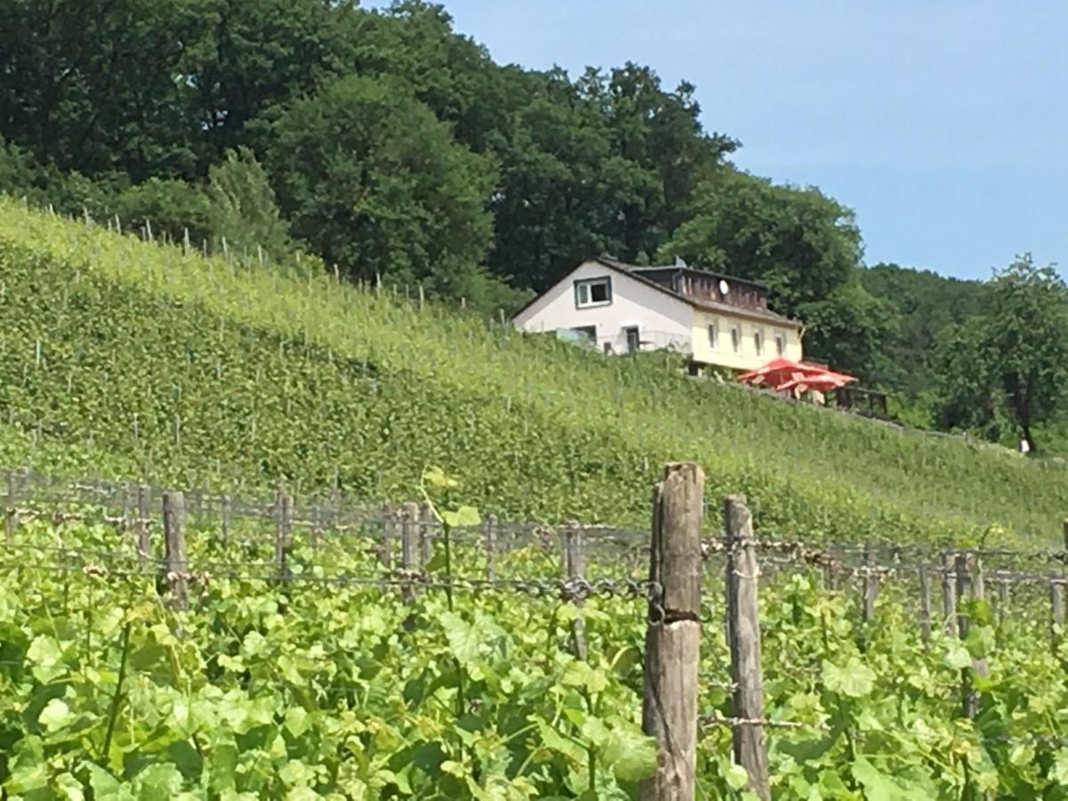Das Rebenhaus Rüdesheim am Rhein Eksteriør billede