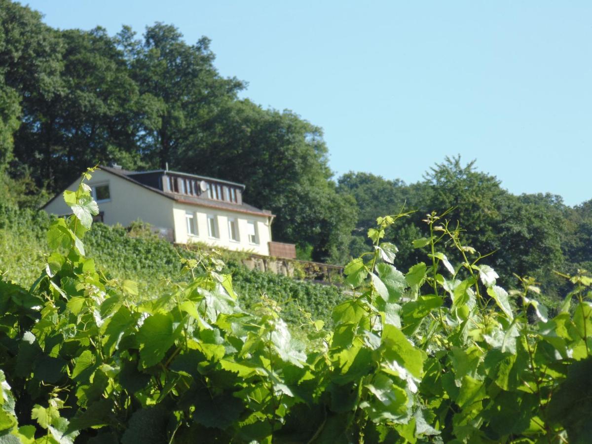Das Rebenhaus Rüdesheim am Rhein Eksteriør billede