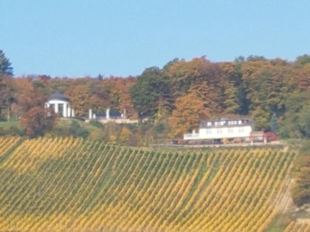 Das Rebenhaus Rüdesheim am Rhein Eksteriør billede