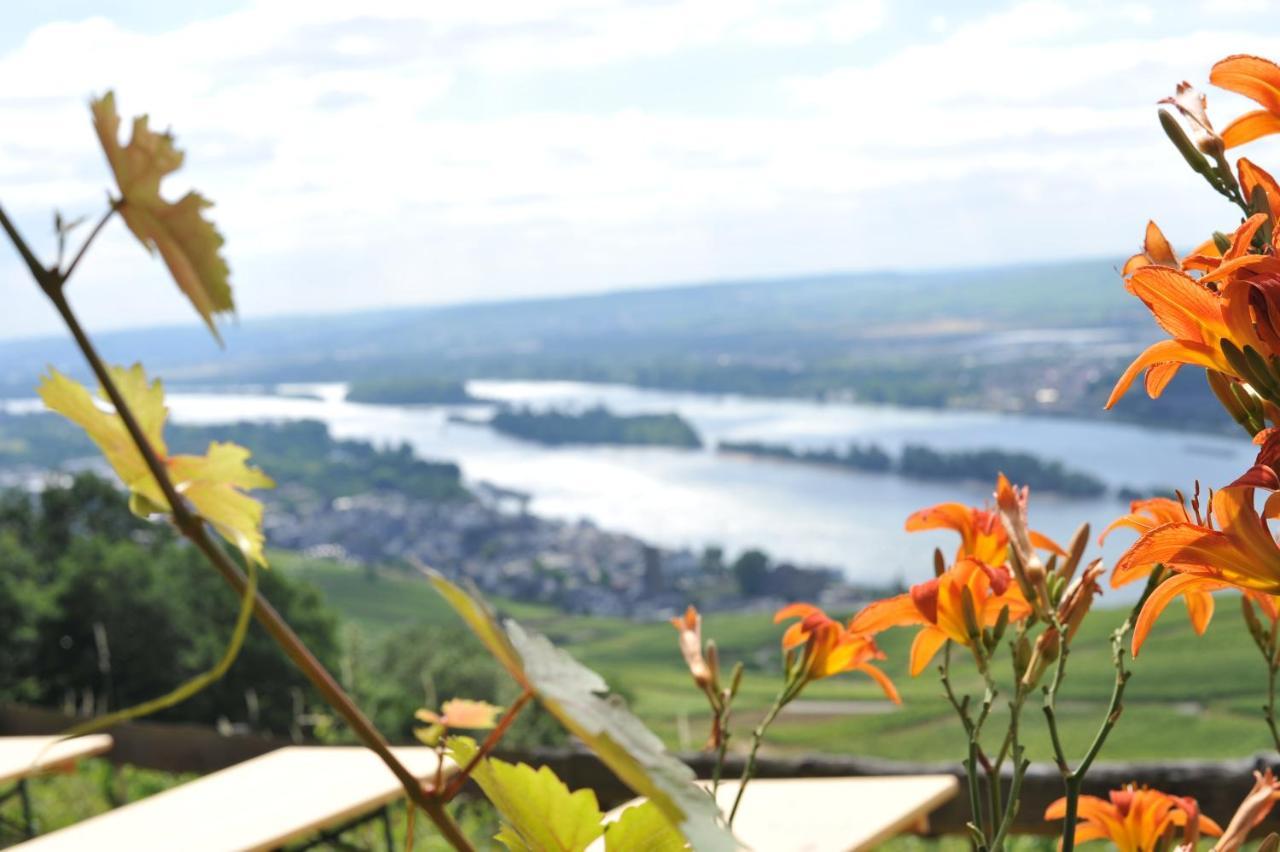 Das Rebenhaus Rüdesheim am Rhein Eksteriør billede