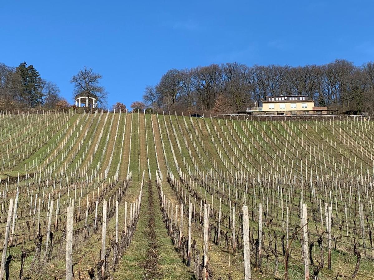 Das Rebenhaus Rüdesheim am Rhein Eksteriør billede