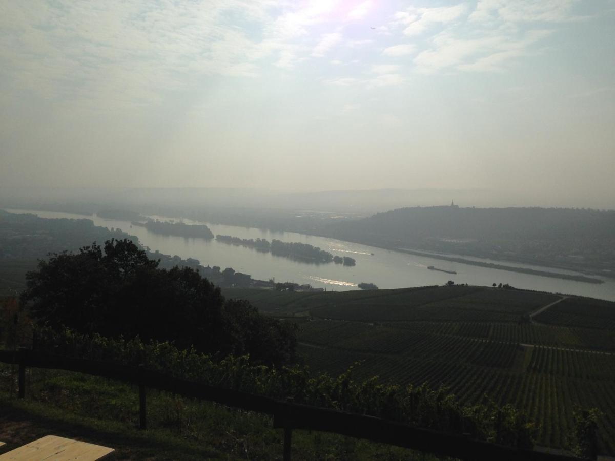 Das Rebenhaus Rüdesheim am Rhein Eksteriør billede