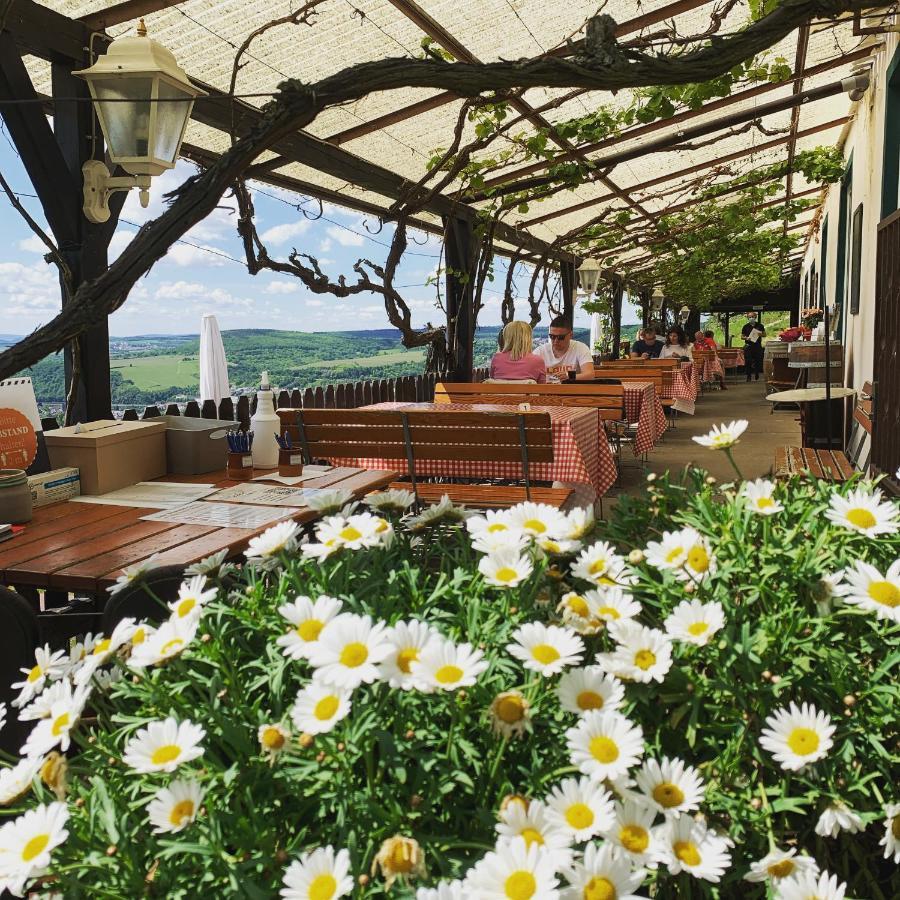 Das Rebenhaus Rüdesheim am Rhein Eksteriør billede