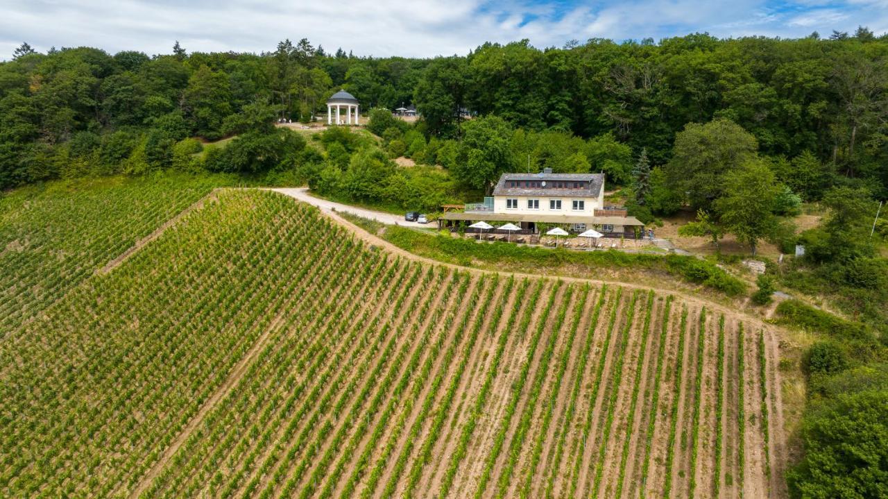 Das Rebenhaus Rüdesheim am Rhein Eksteriør billede