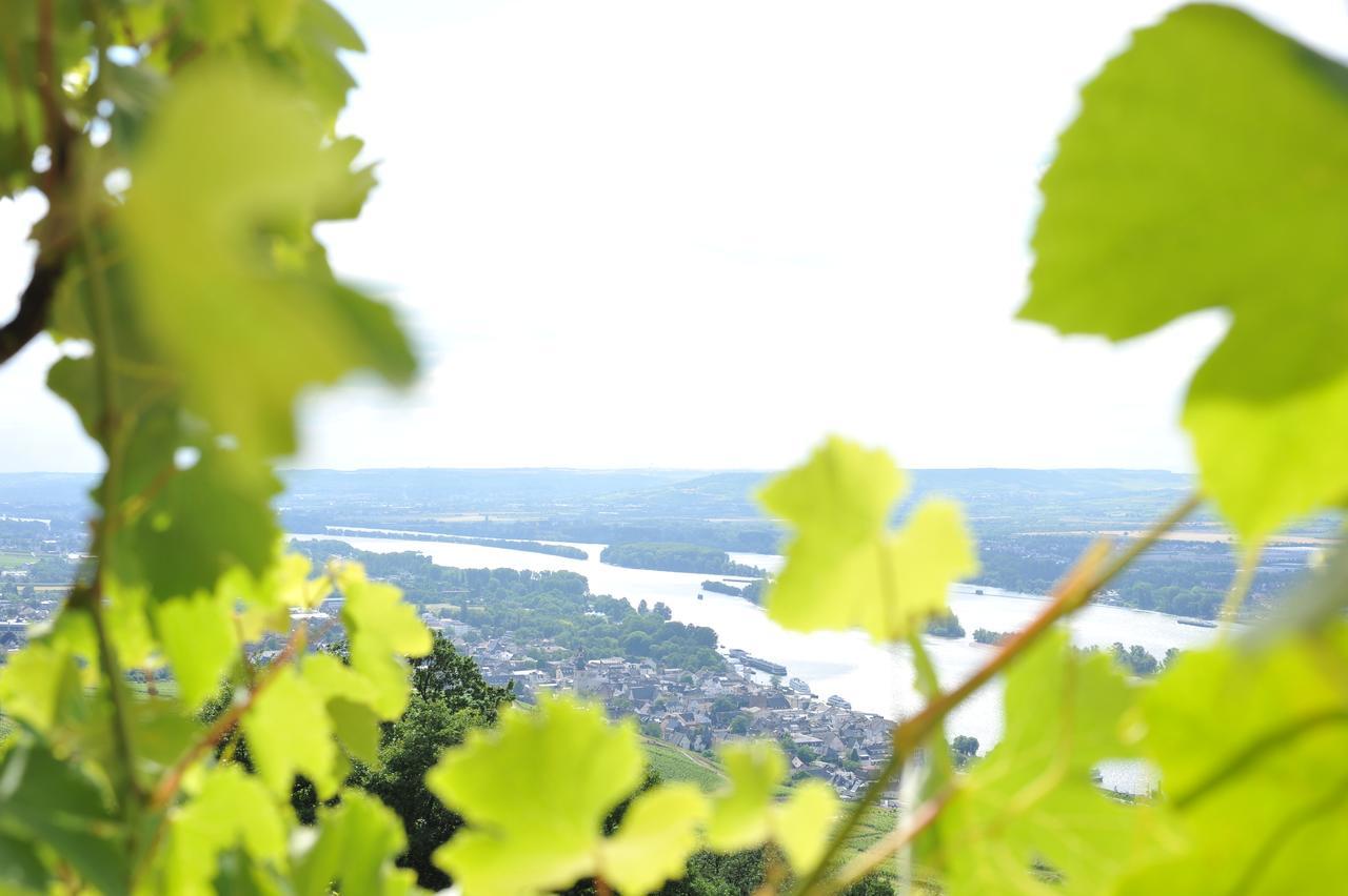 Das Rebenhaus Rüdesheim am Rhein Eksteriør billede