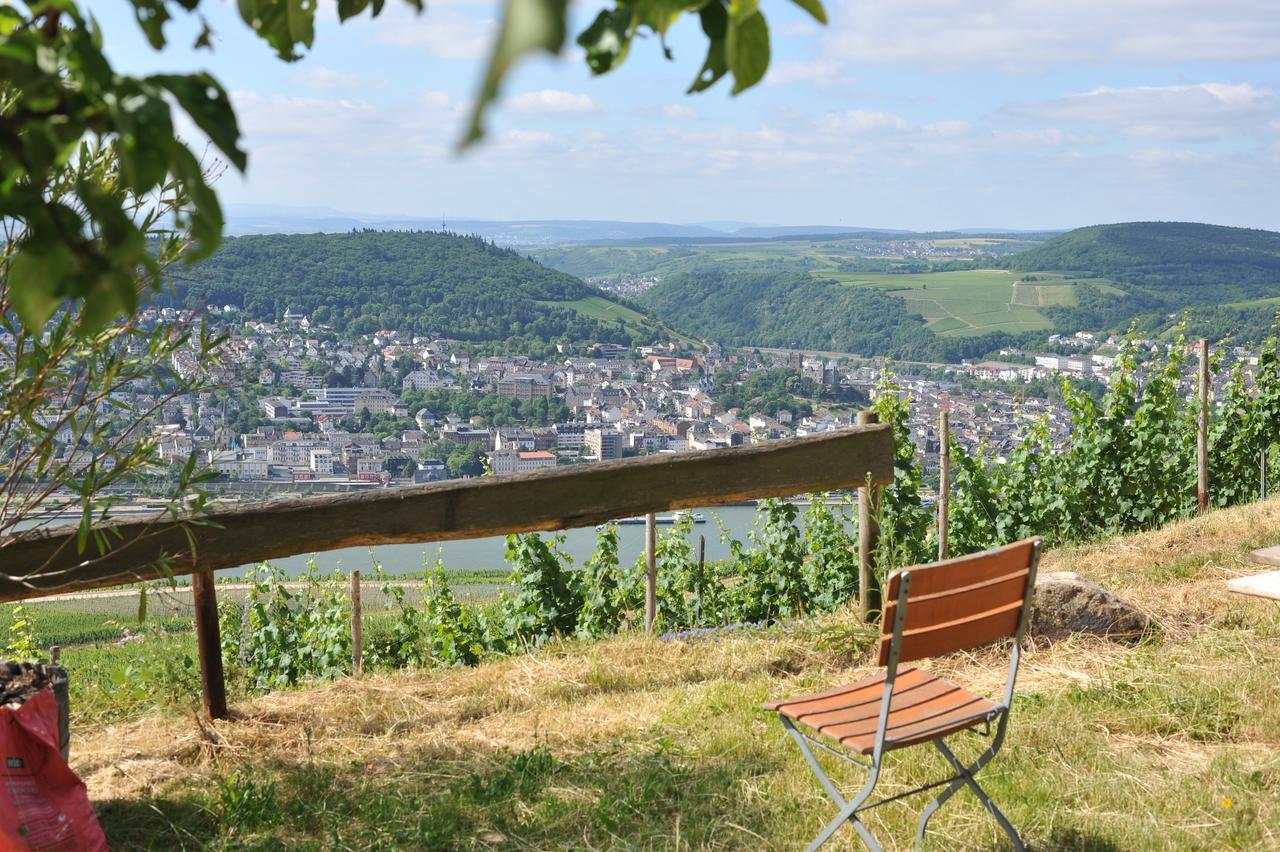 Das Rebenhaus Rüdesheim am Rhein Eksteriør billede