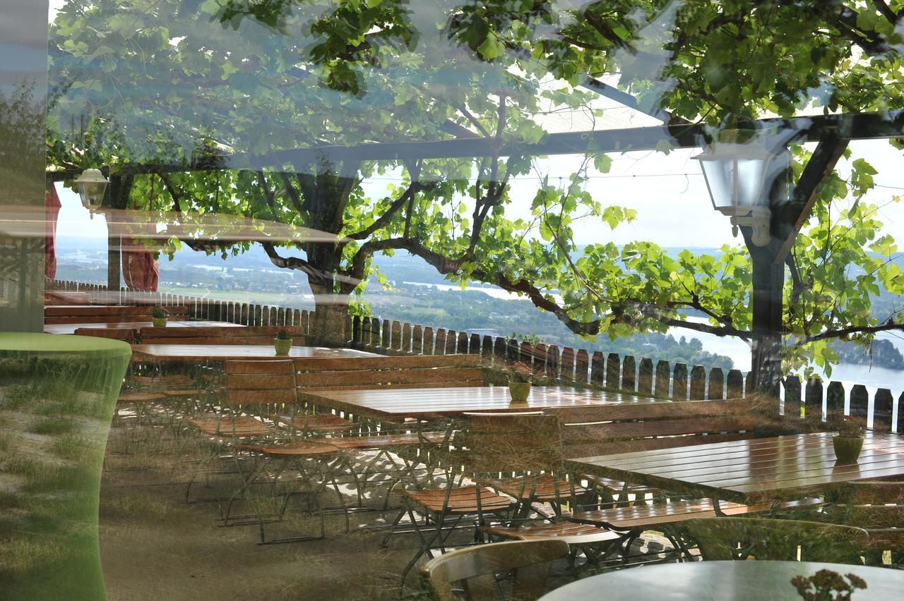 Das Rebenhaus Rüdesheim am Rhein Eksteriør billede
